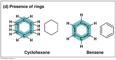 Presence of rings: cyclohexane and benzene