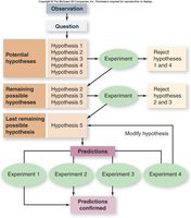 Scientific method iterative process