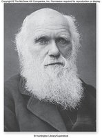 Portrait of Charles Darwin