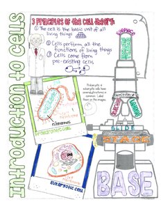 Introduction to cells, microscope, prokaryotic and eukaryotic cell diagrams