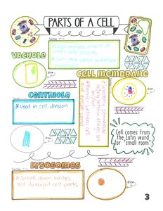 Parts of a cell: vacuole, cell membrane, centriole, lysosome