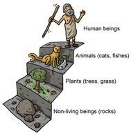 Aristotle's Scala Naturae: a staircase from non-living beings to humans
