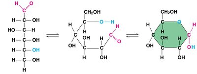 Glucose structure