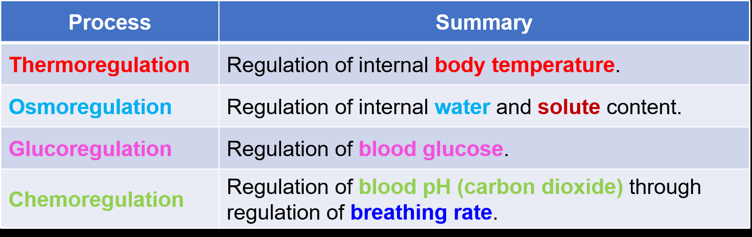 Summary table of homeostatic processes