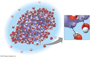 Water-soluble protein surrounded by water molecules