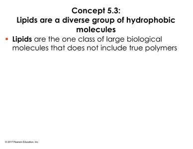 Concept slide: Lipids are hydrophobic and not true polymers
