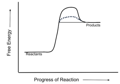 Energy diagram showing catalyzed and uncatalyzed reactions
