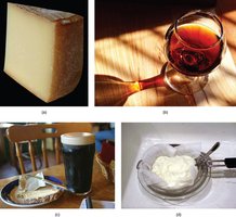 Examples of foods produced by bacteria