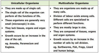 Comparison table of unicellular and multicellular organisms
