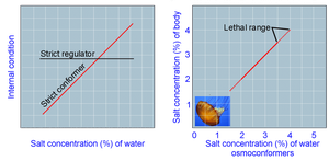 Graph comparing strict conformers and strict regulators