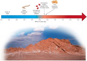 Timeline of oxygen and life on Earth