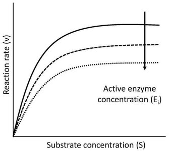 Reaction rate vs substrate concentration