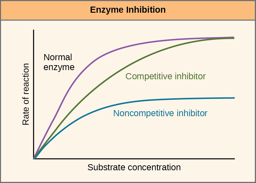 Effect of inhibitors on reaction rate