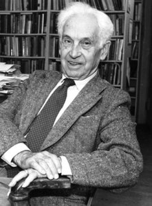 Happy face spiders considered same species by Biological Species Concept