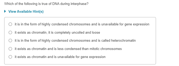 Mitotic spindle structure