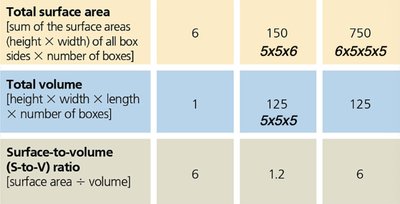 Surface area to volume ratio table