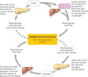 Homeostatic regulation of cellular fuel
