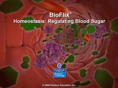 Pancreatic Hormones Regulate Blood Glucose Level