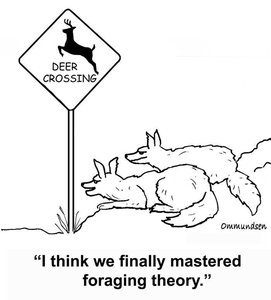 Cartoon: foxes and foraging theory