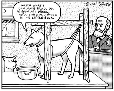 Blue jay learning to avoid monarch butterflies