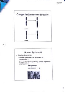 Nondisjunction and aneuploidy diagram