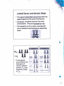 Chromosomal arrangement and inheritance