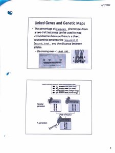 Genetic mapping and crossing-over