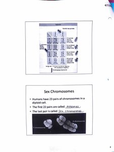 Linked genes and crossing-over diagram