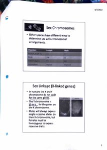 Genetic map and recombination frequency