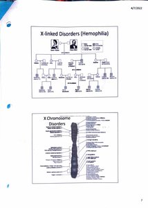 Sex chromosome arrangements in different species