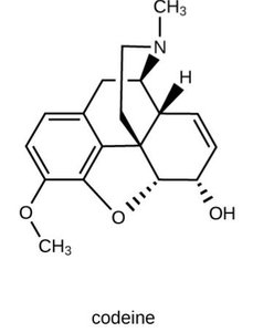 Codeine structure