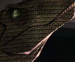 Structures of nitrogenous bases