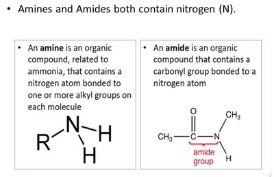 Amines and amides definitions and structures