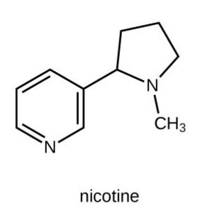 Nicotine structure