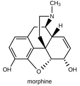 Morphine structure