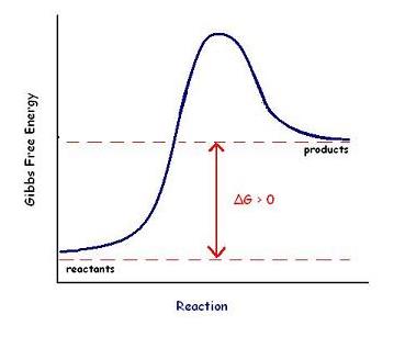 Free energy diagram for an endergonic reaction