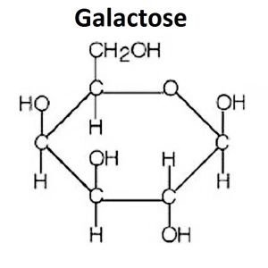 Galactose structure