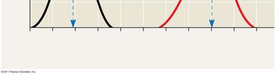 Optimal pH for two enzymes