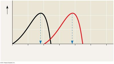 Optimal temperature for two enzymes