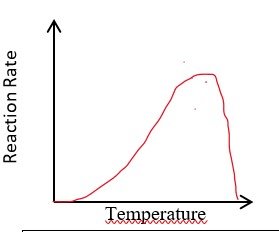 Catecholase experiment setup