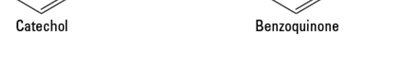 Catecholase reaction equation