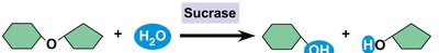 Activation energy barrier diagram