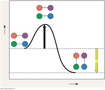 Transition state and activation energy diagram