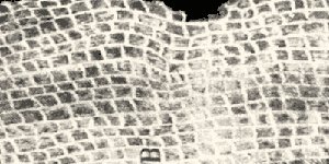 Drawing of cork cells by Hooke