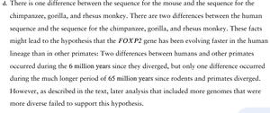 Explanation of FOXP2 sequence differences and evolutionary rate