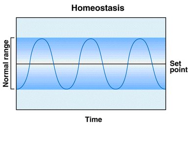Homeostatic control system diagram
