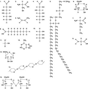 various biological molecules and their structures