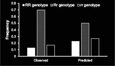 Observed vs predicted genotype frequencies bar graph