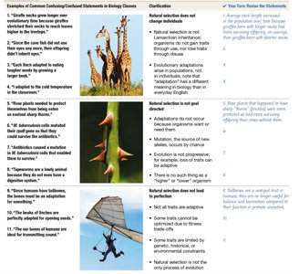Table of common misconceptions and corrections in evolution