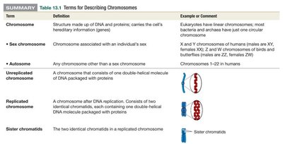 Table of chromosome terms
